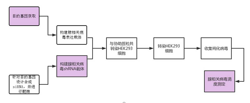 圖片2.jpg